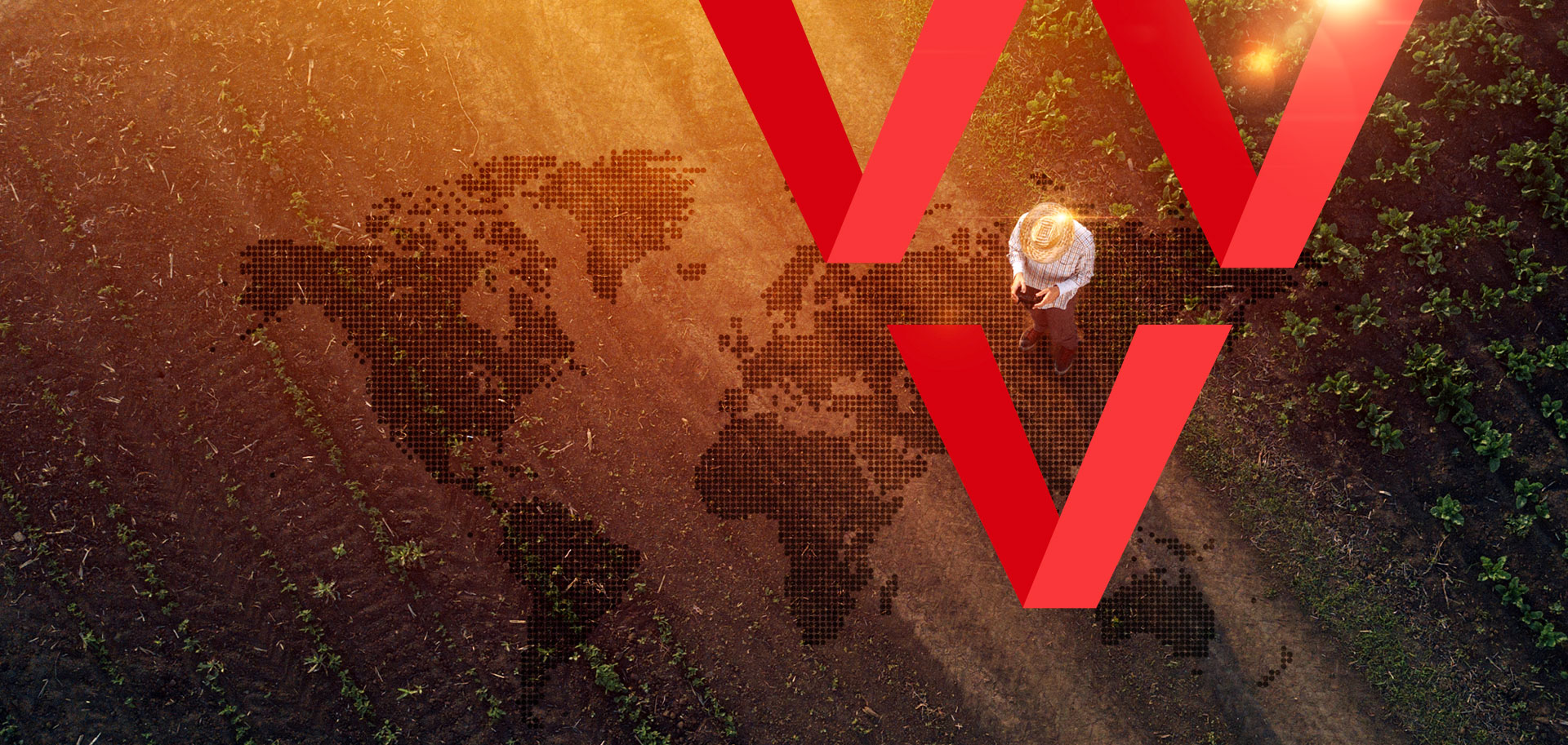 China Agricultural Wholesale Market Association